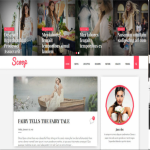 Scoop Fashion Blogger Template